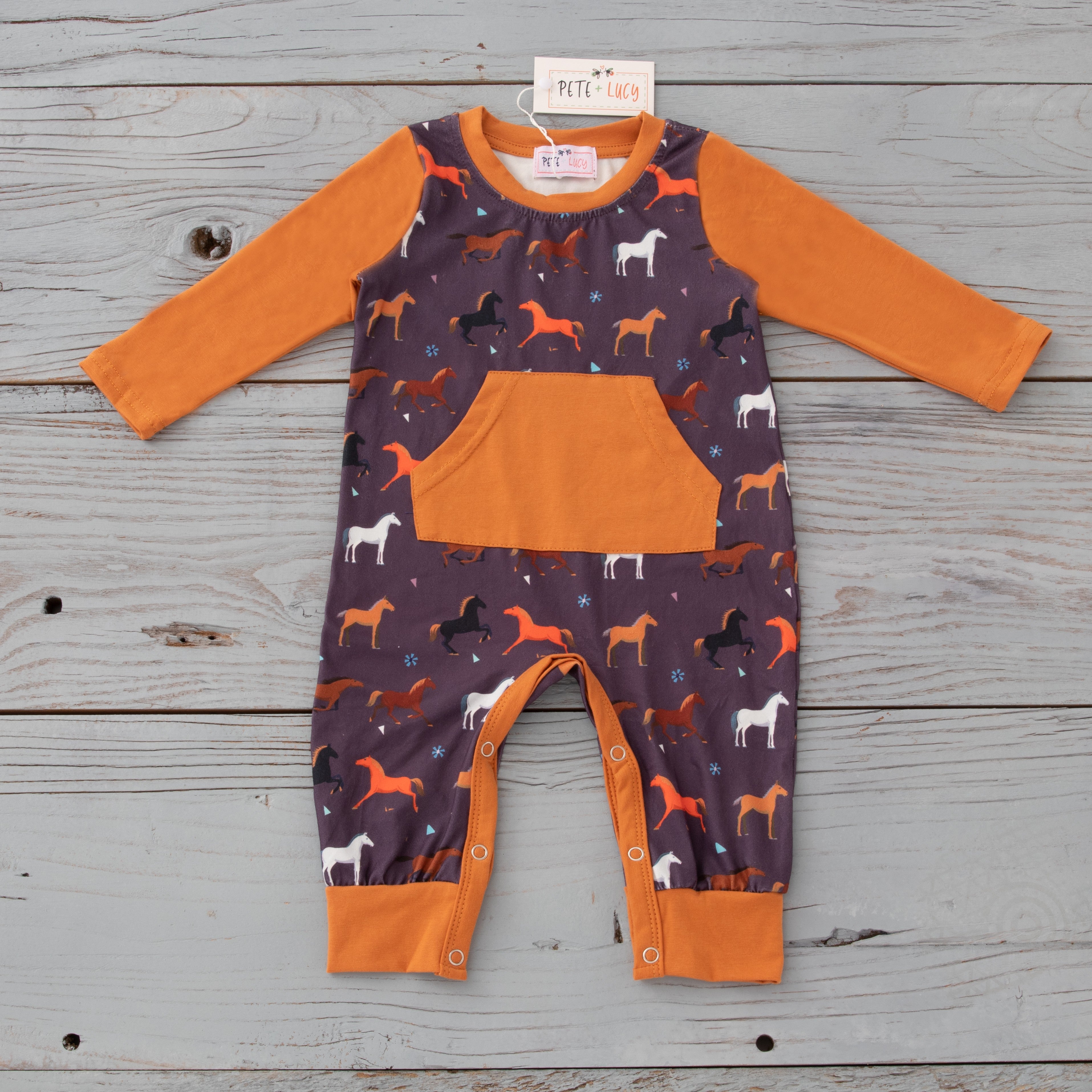 BOYS - Infant Romper (Long) Clothing CVA Products Playing with Horses 0-3M