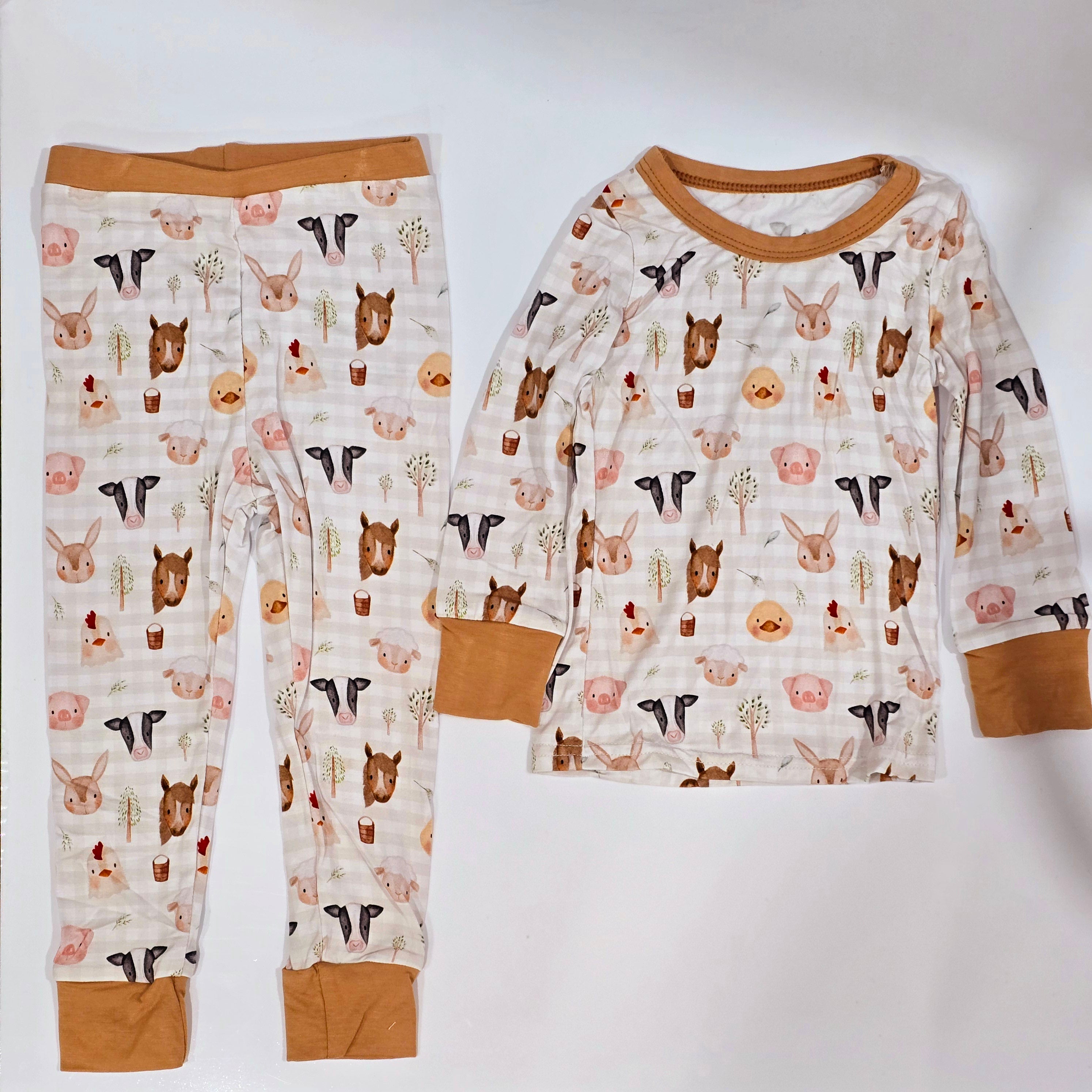 Bamboo Styles - 2 PC Set (Boys & Girls) Clothing CVA Products Spring Farm 2 PC Long Sleeve Set 12-18M