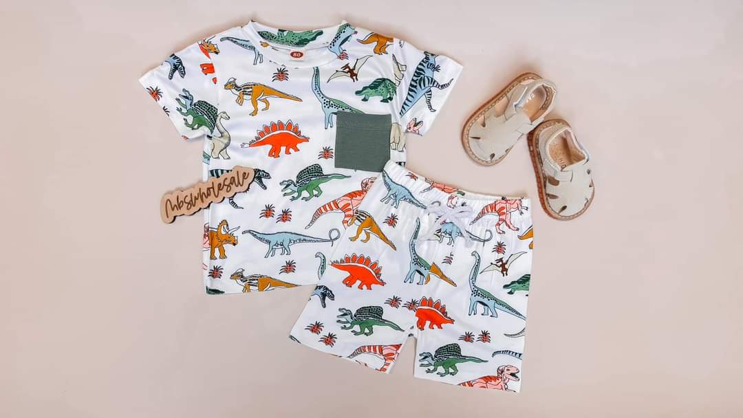 Boy - Short Set Clothing CVA Products Dino Tee Set 6-12 M