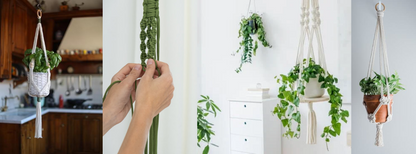 Macrame Plant Hangers