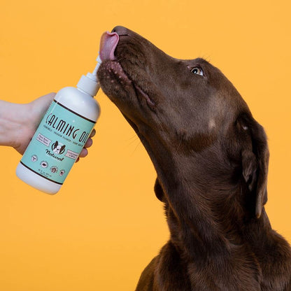 Supplements Dogs Natural Dog Company