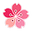 CVA Products logo