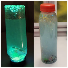 Load image into Gallery viewer, Sensory Bottle - CVA Products
